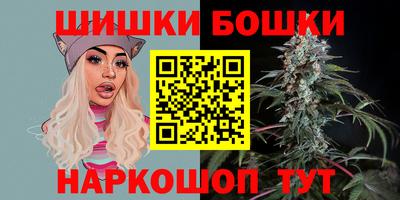 крисы Новокубанск