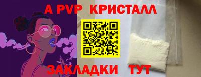 крисы Новокубанск