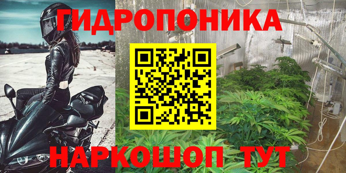 Конопля Amnesia Петрозаводск